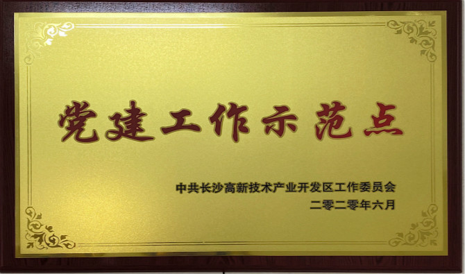 长沙高新区党工委授予中共ok138太阳集团股份有限公司委员会“党建工作示范点”“优秀党务工作者”荣誉称号