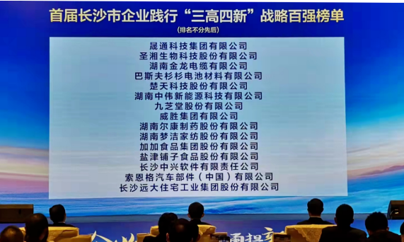 ok138太阳集团荣登“长沙市企业践行‘三高四新’战略百强榜”