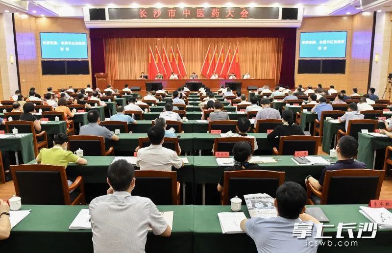 承中华医药崛起之战略，助国粹瑰宝益达于四海——长沙市中医药大会上的九芝之声！